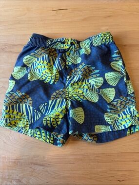 Boys Tea Collection Swim Trunks size 6 Blue Fish Print 🌊
